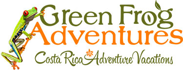 Green Frog Adventures